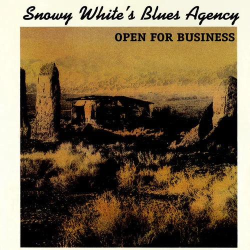 Snowy White's Blues Agency - Open For Business (Import) (1989)